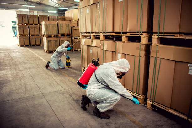 Best Emergency Pest Control  in Oak Ridge, NC
