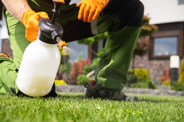 Best Emergency Pest Control  in Oak Ridge, NC