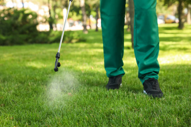 Best Pest Control for Restaurants  in Oak Ridge, NC