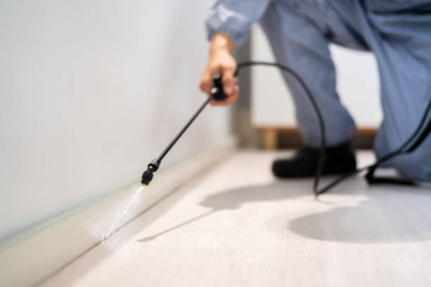 Pest Control for Restaurants in Oak Ridge, NC