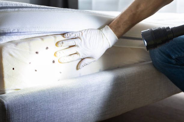 Best Pest Removal Services  in Oak Ridge, NC