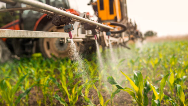 Best Commercial Pest Control Services  in Oak Ridge, NC