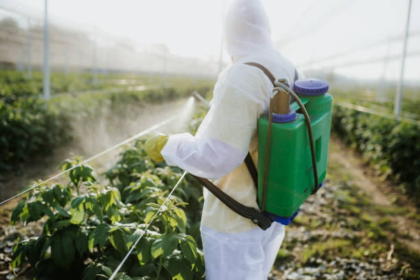 Best Flea Control Services  in Oak Ridge, NC
